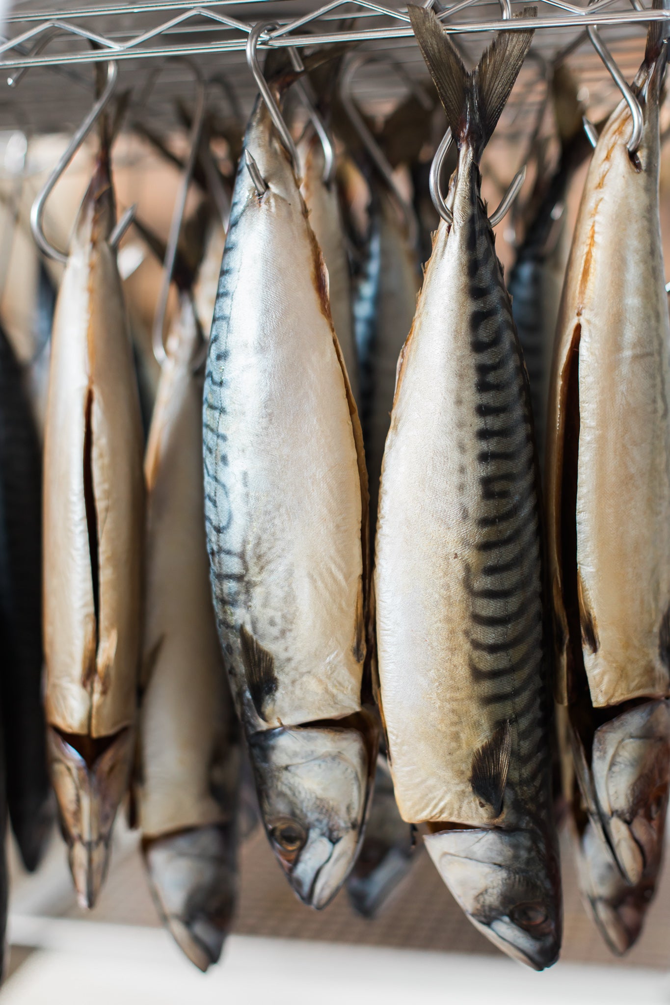 Cold Smoked Mackerel