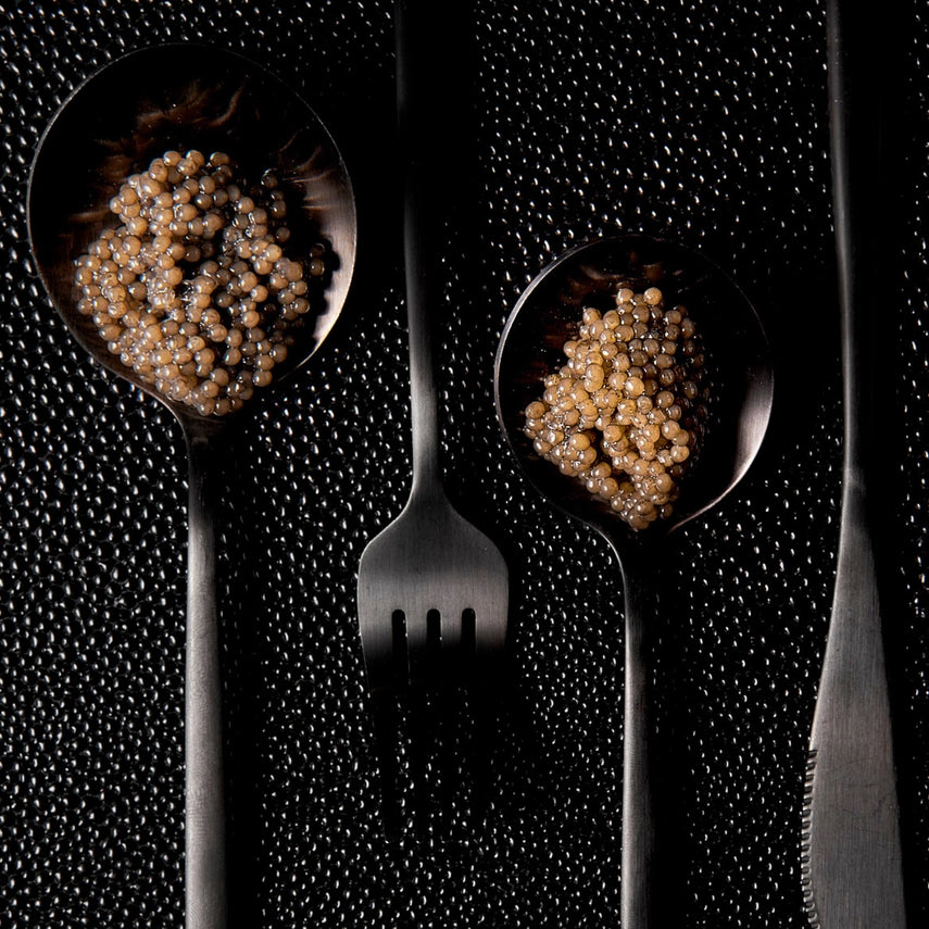 Paddlefish Caviar