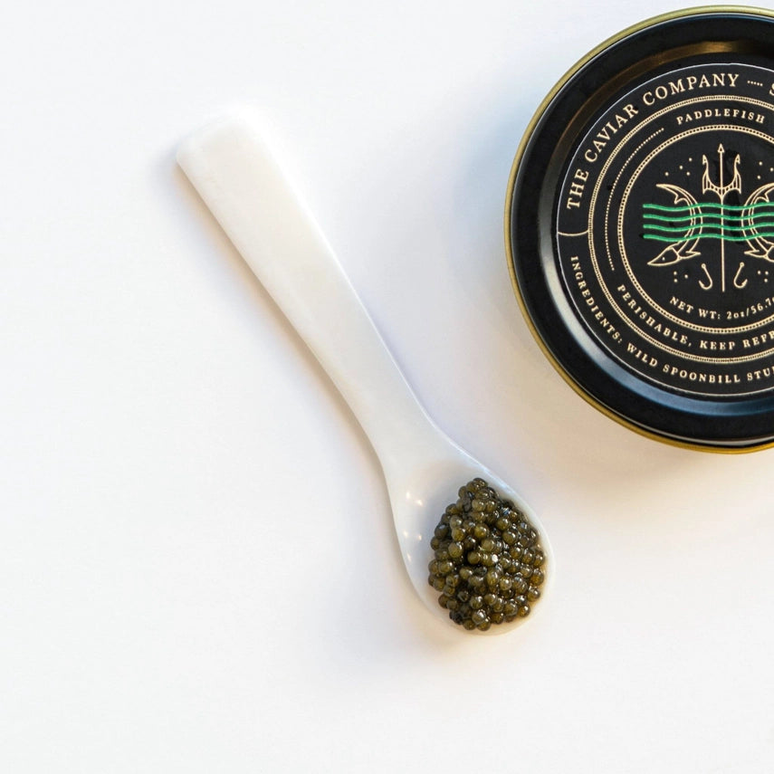 Paddlefish Caviar