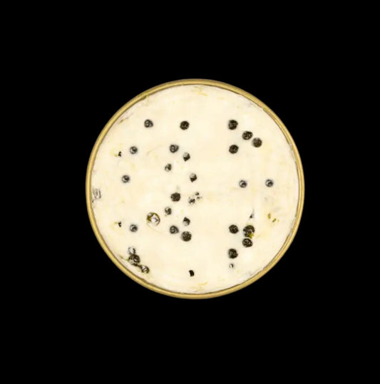 Artisanal Caviar Honey Butter 50g