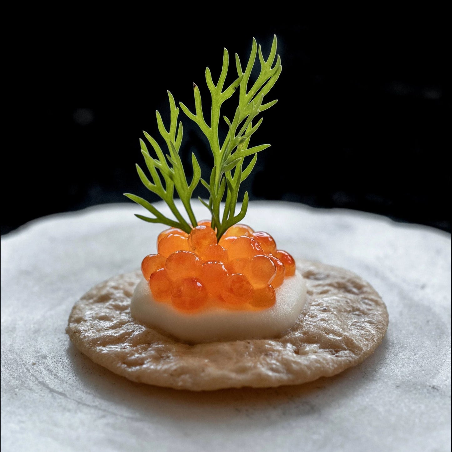 Trout Roe