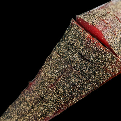 Black Pepper Cold Smoked Sockeye Salmon