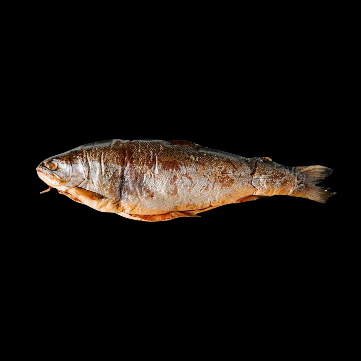 Hot Smoked Trout