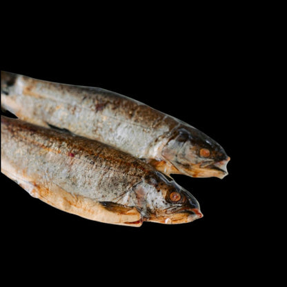Hot Smoked Trout