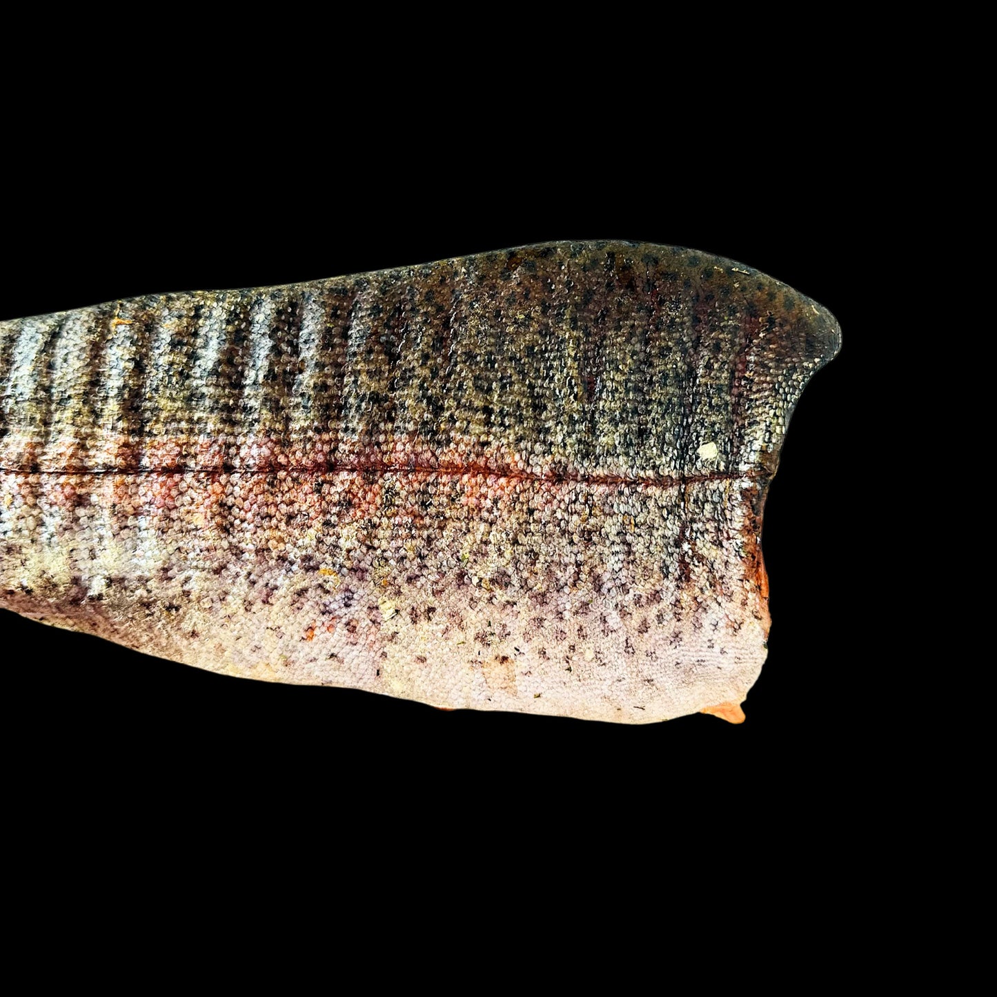 Cold Smoked Rainbow Trout Fillet