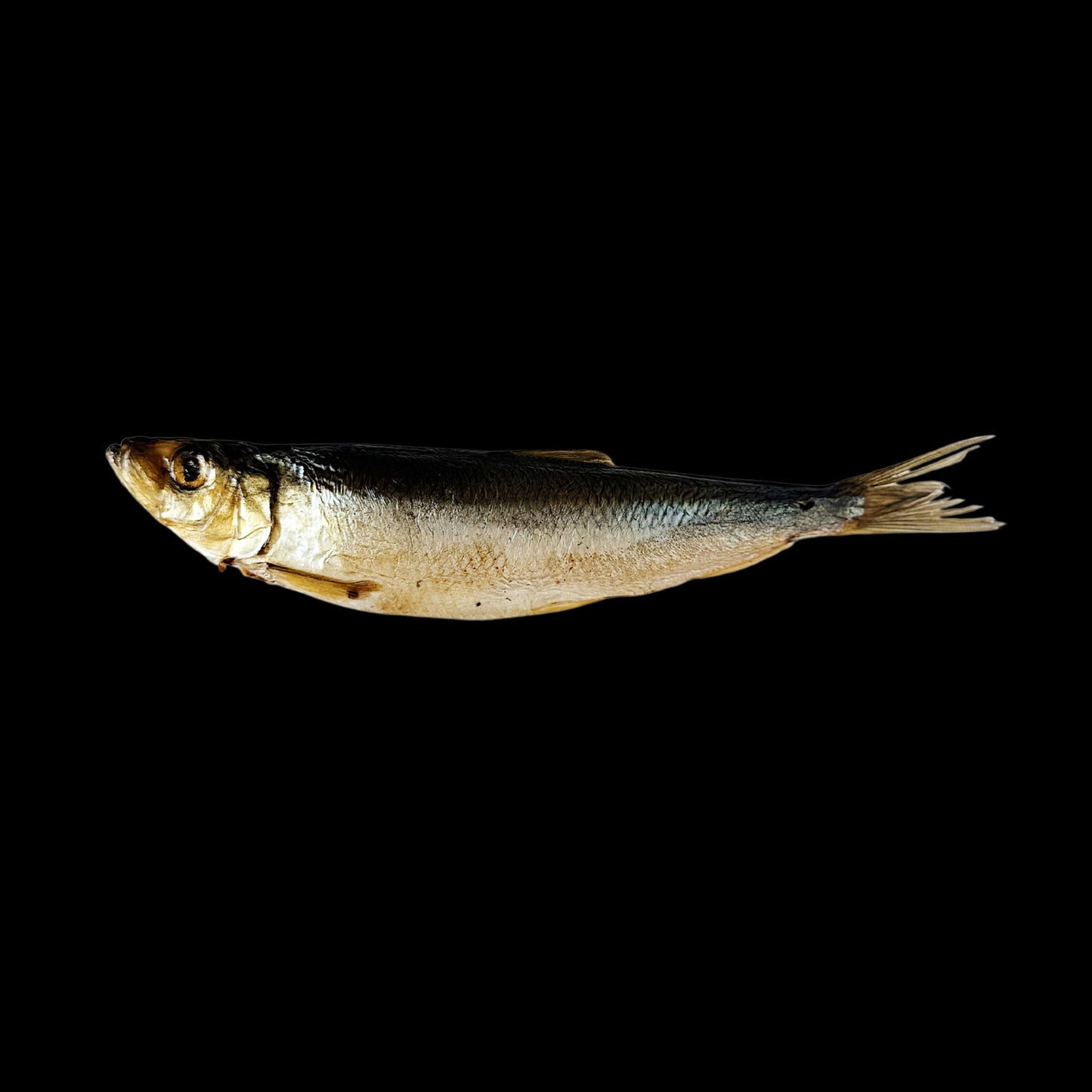 Cold Smoked Herring