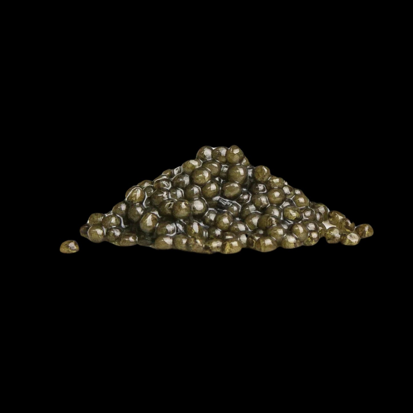 White Sturgeon Caviar
