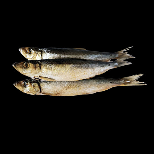 Cold Smoked Herring