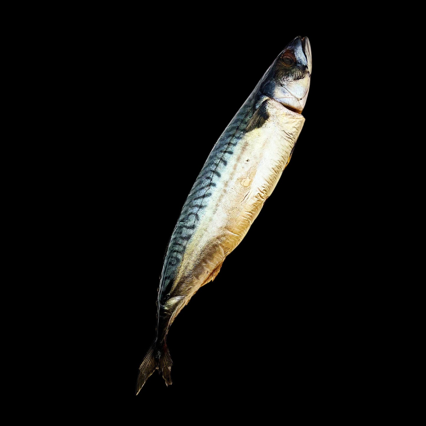Cold Smoked Mackerel