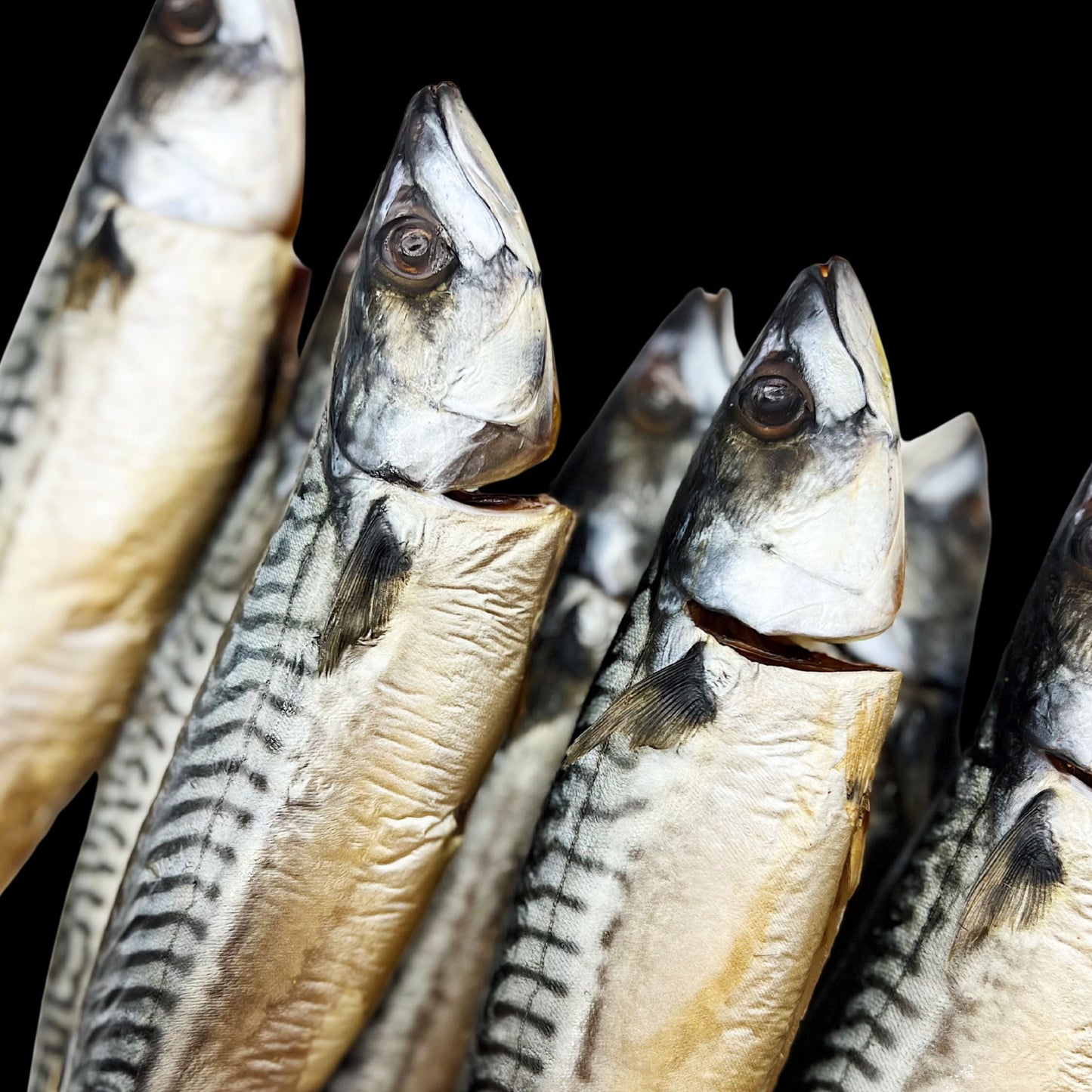 Cold Smoked Mackerel