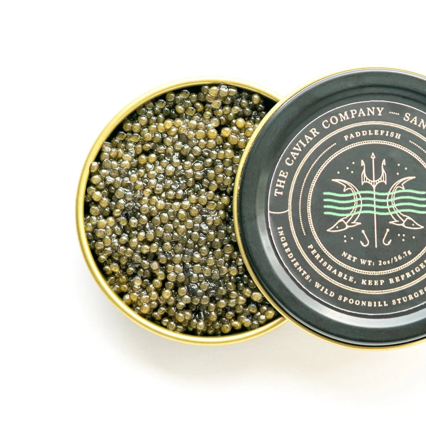 Paddlefish Caviar