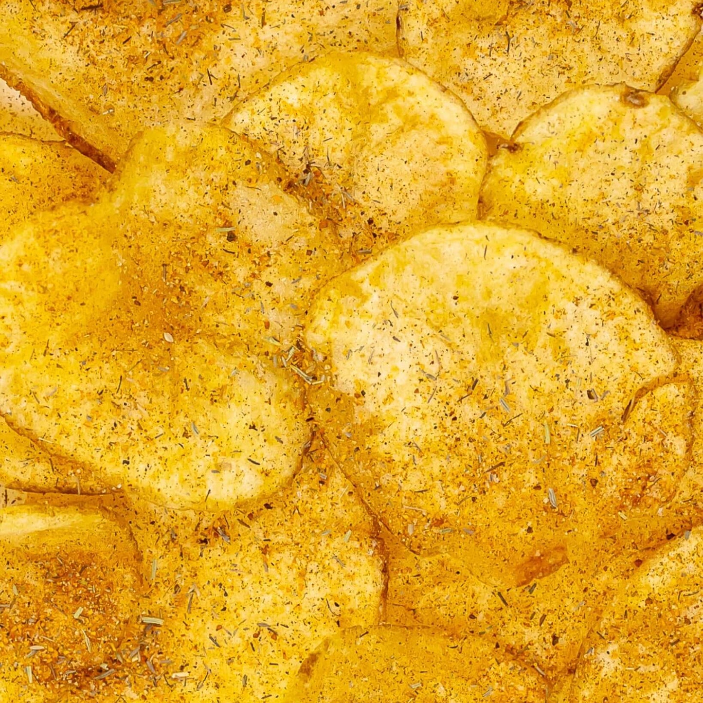 Gourmet Chip Company - New Orlean's Spicy Cajun Thick Cut Potato Chips
