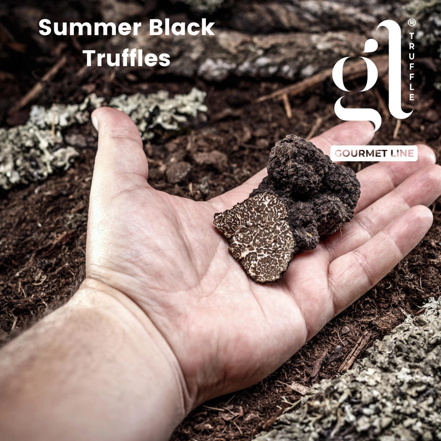 Gl Truffle , Whole Black Summer Truffle, 35 Gr